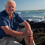 Image for the Nature programme "David Attenborough's Global Adventure, Pt 2"