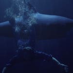 Image for the Film programme "Shark Lake"
