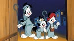 Image for the Animation programme "Animaniacs"
