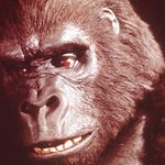 Image for the Film programme "King Kong"