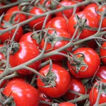 Image for the Technology programme "How It's Made"