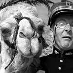 Image for the Entertainment programme "That's Carry on"