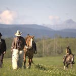 Image for episode "Devil in the Saddle" from Drama programme "Murdoch Mysteries"