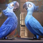 Image for the Film programme "Rio"