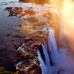 Image for Nature programme "Natural World"