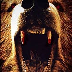 Image for the Film programme "Grizzly"