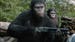 Image for Dawn of the Planet of the Apes