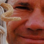 Image for the Nature programme "Deadly 60"