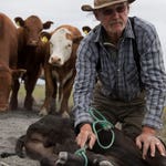 Image for Documentary programme "Alaska: Surviving the Last Frontier"