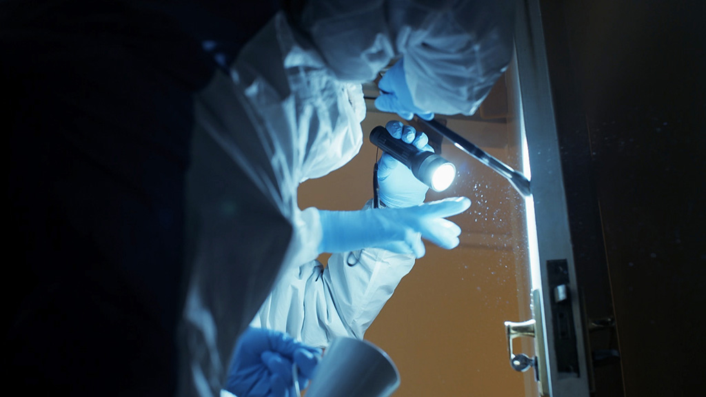 Forensics: The Real CSI on BBC Two England: full details and when it's ...