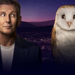 Image for the Talk Show programme "The Late Late Show"