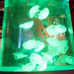 Image for the Documentary programme "Tanked"