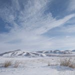 Image for the Nature programme "Wild Mongolia: Land of Extremes"