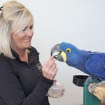 Image for Nature programme "Secrets of the Zoo"