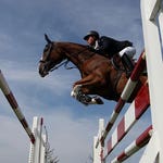 Image for Sport programme "Show Jumping"