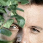 Image for the Drama programme "Return of the Saint"