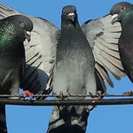 Image for Documentary programme "Time Shift"