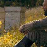 Image for the Film programme "The Beekeeper"