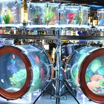 Image for Documentary programme "Tanked"