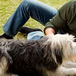 Image for the Film programme "Puppy Love"
