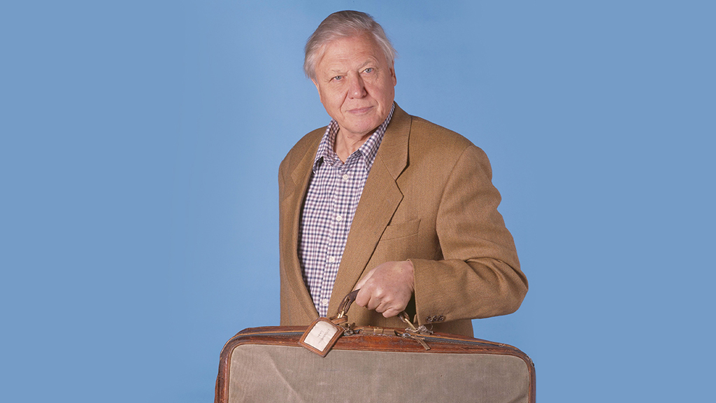 The Life of Mammals Season 1 Episode 6 on U&Yesterday - TV Programme Poster