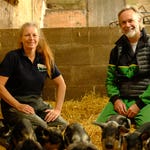 Image for Cookery programme "Marcus Wareing's Tales from a Kitchen Garden"