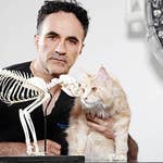 Image for the Documentary programme "The Supervet"