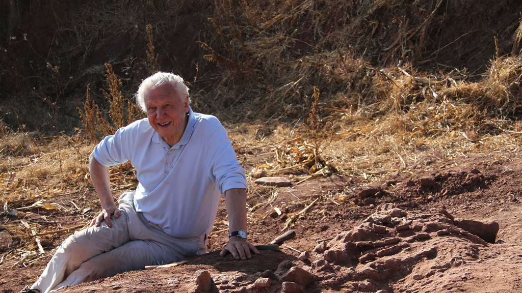 David Attenborough's Rise of Animals: Triumph of the Vertebrates Season 1 Episode 2 on Sky Nature - TV Programme Poster