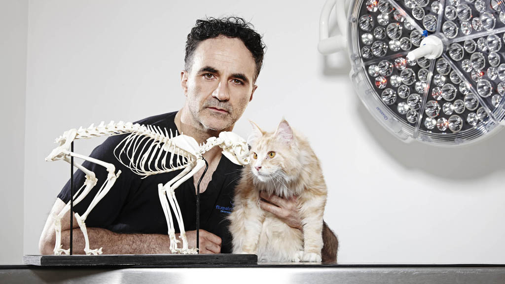 The Supervet: Noel Fitzpatrick Season 15 Episode 2 on U&W HD - TV Programme Poster