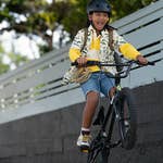 Image for the Film programme "The Mountain"