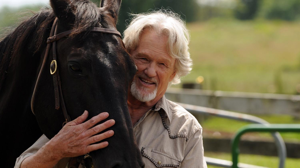 Midnight Stallion on RTE2 - 2:50pm