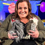 Image for the Childrens programme "CBeebies Bedtime Stories"