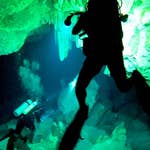 Image for episode "Mexico 1" from Nature programme "Deadly 60"