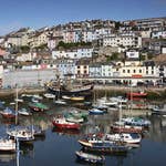 Image for the Documentary programme "Fish Town"