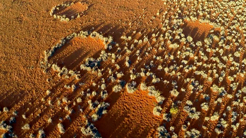 What on Earth? Season 1 Episode 2 on Sky History - TV Programme Poster