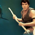 Image for the Film programme "Aatank"