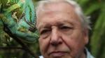 Image for episode "Stretched to the Limit" from Nature programme "David Attenborough's Natural Curiosities"