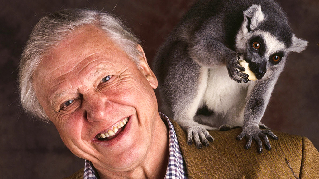 The Life of Mammals - TV Show Poster