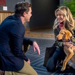 Image for the Film programme "Love at First Glance"