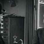 Image for the Film programme "The Spider and The Fly"