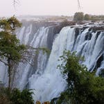 Image for the Documentary programme "Fish or Die"