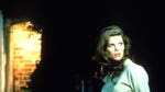 Image for the Film programme "The Collector"