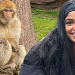 Image for episode "At Monkey Forest" from Childrens programme "Blue Peter"