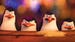 Image for The Penguins of Madagascar