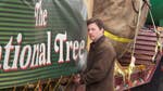 Image for the Film programme "The National Tree"