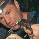 Image for Nature programme "Deadly 60"