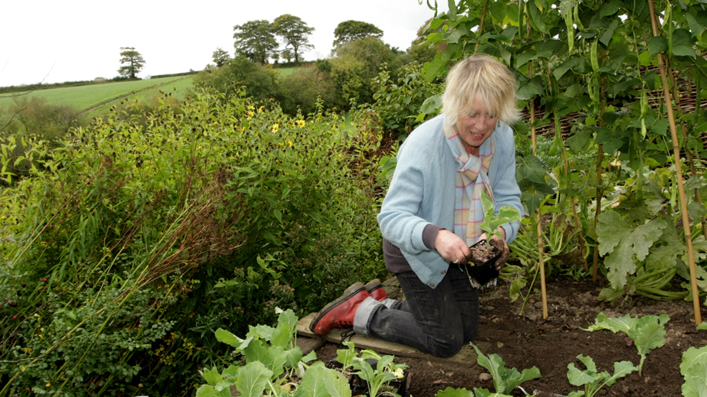 Life in a Cottage Garden with Carol Klein : Gardening | What Happens