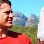 Image for episode "South Africa 2" from Nature programme "Deadly 60"