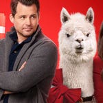 Image for the Film programme "We Wish You a Married Christmas"