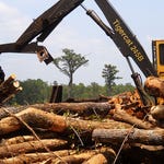 Image for episode "Hell a Week" from Documentary programme "Swamp Loggers"